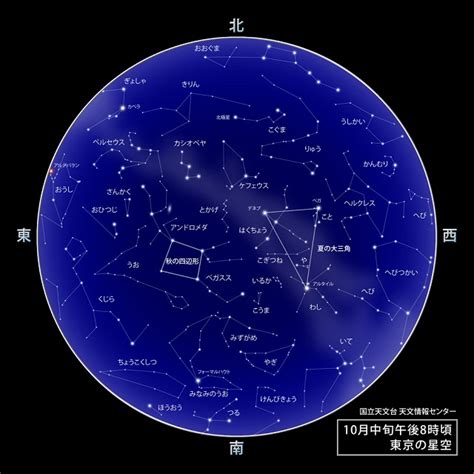 8月10號什麼星座|8月10日是什麼星座